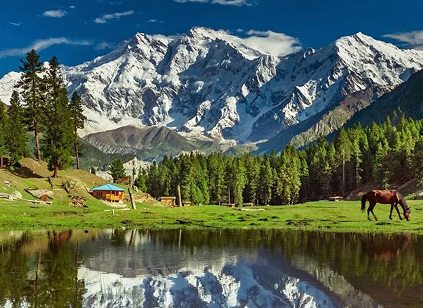6 Days Trip To Astore & Minimarg